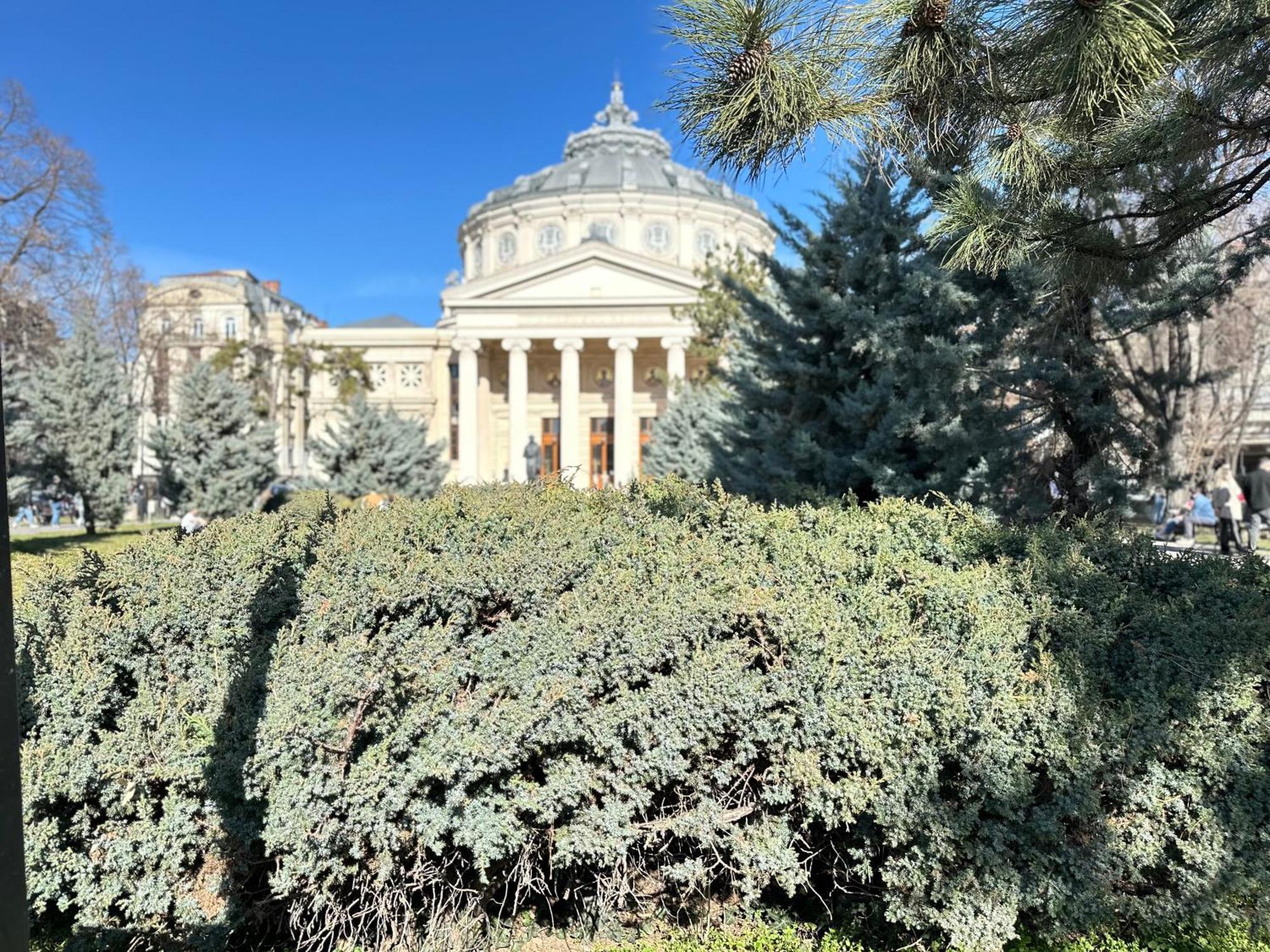 2Rooms Apartment Calea Victoriei - Atheneum بوخارست المظهر الخارجي الصورة